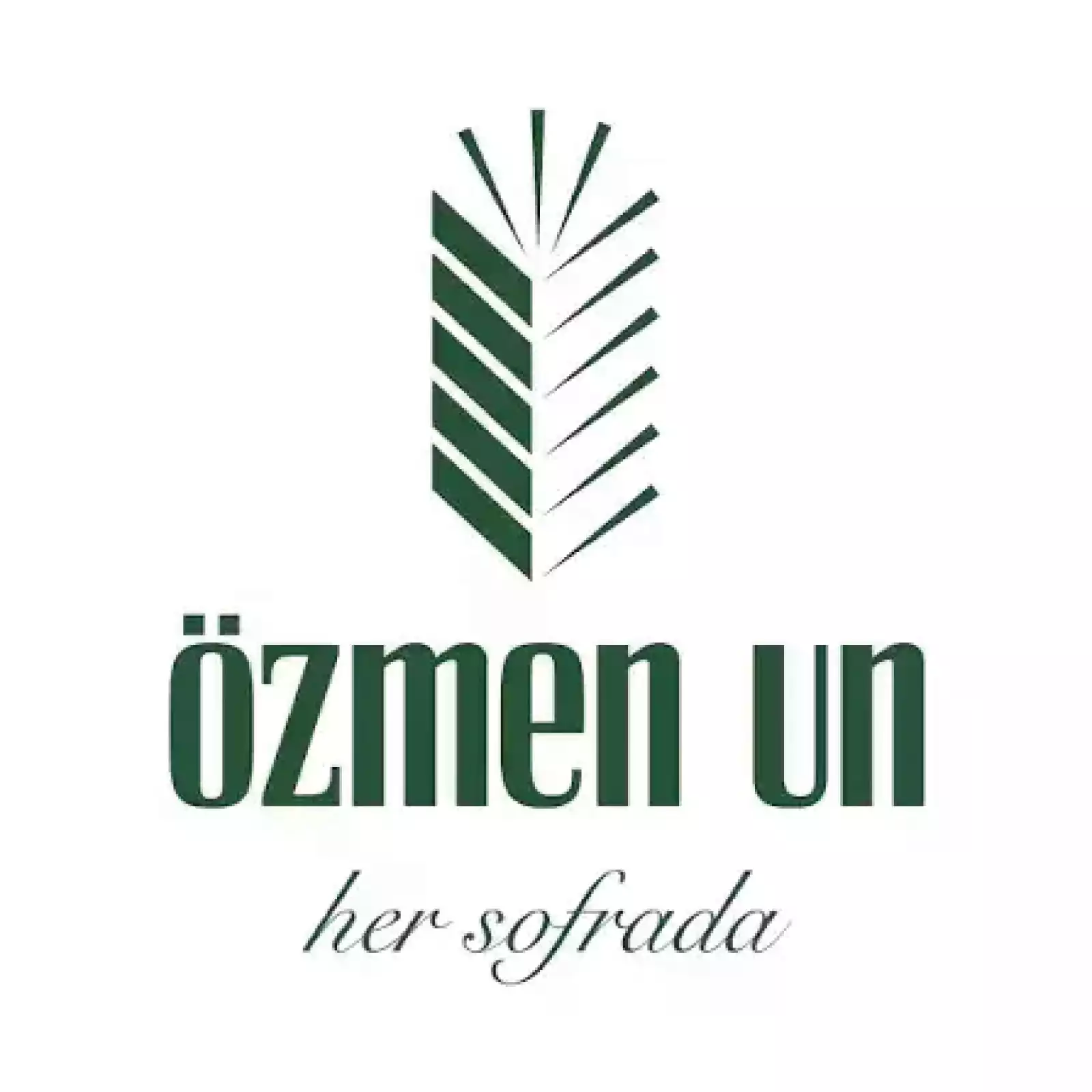 Özmen Un